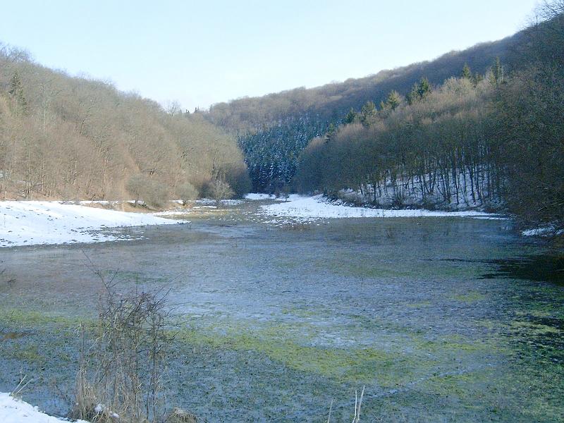 20110122 059.jpg